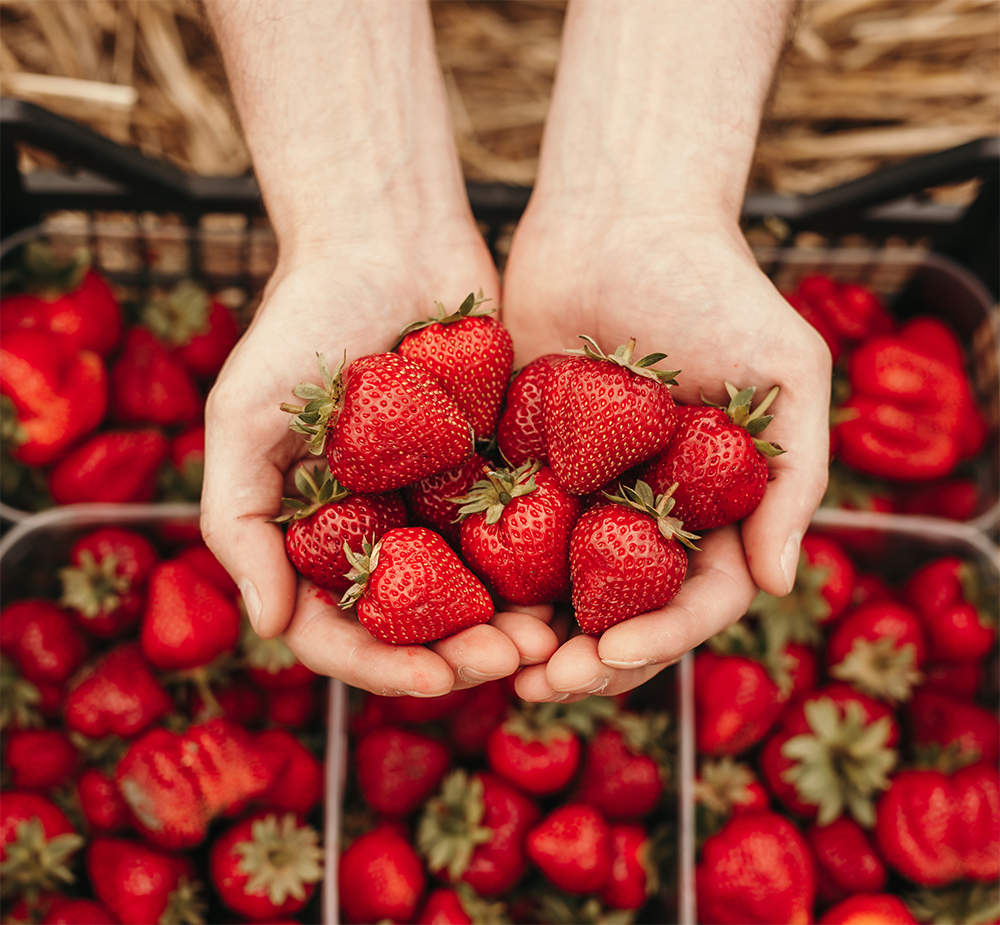 Strawberries in hand