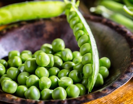 Frozen vegetables wholesaler
