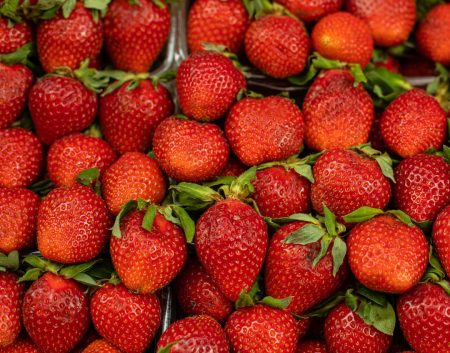 Frozen Fruits wholesaler